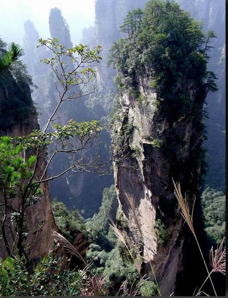 長沙出發(fā)到張家界溶洞奇觀黃龍洞、國家森林公園、袁家界、峰林之王天子山三日游（早班）